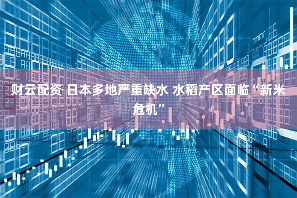 财云配资 日本多地严重缺水 水稻产区面临“新米危机”