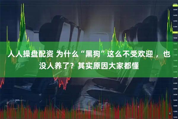 人人操盘配资 为什么“黑狗”这么不受欢迎 ，也没人养了？其实原因大家都懂