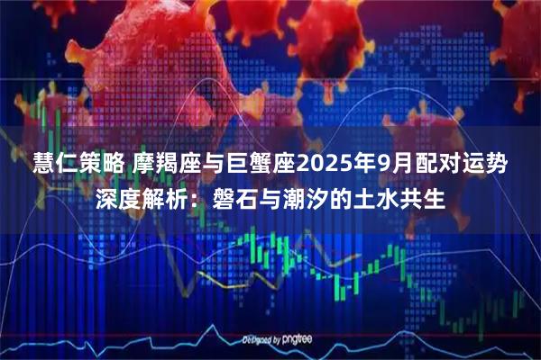 慧仁策略 摩羯座与巨蟹座2025年9月配对运势深度解析：磐石与潮汐的土水共生
