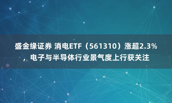 盛金缘证券 消电ETF（561310）涨超2.3%，电子与半导体行业景气度上行获关注