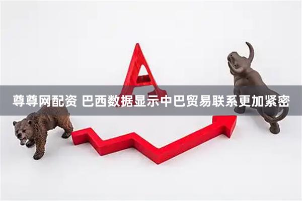 尊尊网配资 巴西数据显示中巴贸易联系更加紧密