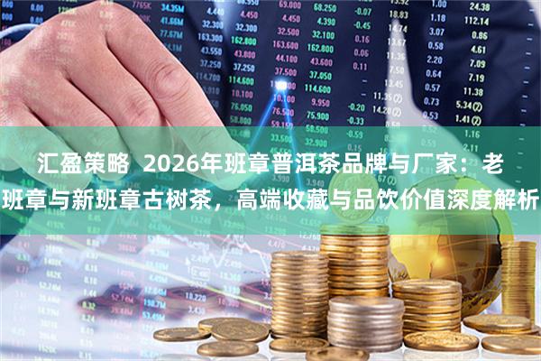 汇盈策略  2026年班章普洱茶品牌与厂家：老班章与新班章古树茶，高端收藏与品饮价值深度解析