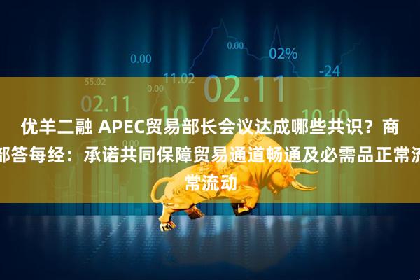 优羊二融 APEC贸易部长会议达成哪些共识？商务部答每经：承诺共同保障贸易通道畅通及必需品正常流动